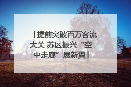 提前突破百万客流大关 苏区振兴“空中走廊”展新翼