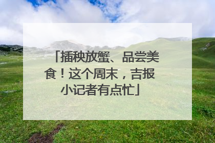 插秧放蟹、品尝美食！这个周末，吉报小记者有点忙