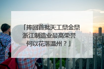 捧回首批天工鼎金鼎 浙江制造业最高荣誉何以花落温州？