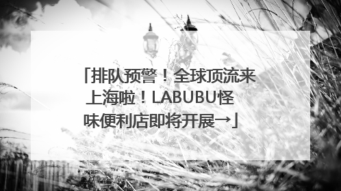 排队预警！全球顶流来上海啦！LABUBU怪味便利店即将开展→