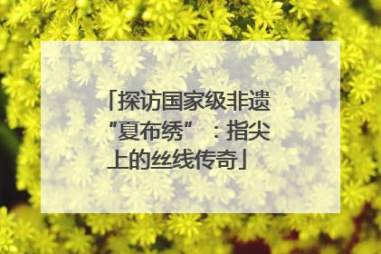 探访国家级非遗“夏布绣”：指尖上的丝线传奇