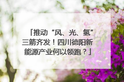 推动“风、光、氢”三箭齐发！四川德阳新能源产业何以领跑？