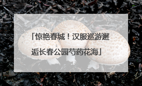 惊艳春城！汉服巡游邂逅长春公园芍药花海