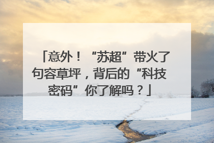意外！“苏超”带火了句容草坪，背后的“科技密码”你了解吗？