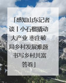 感知山东记者谈丨小石榴撬动大产业 枣庄破局乡村发展难题 书写乡村共富答卷