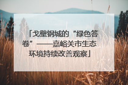 戈壁钢城的“绿色答卷”——嘉峪关市生态环境持续改善观察