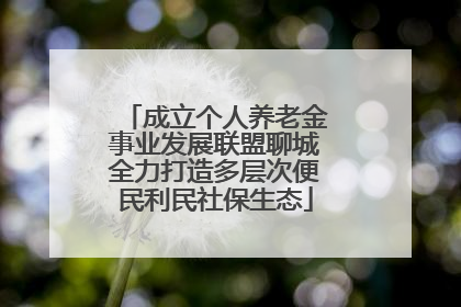 成立个人养老金事业发展联盟聊城全力打造多层次便民利民社保生态