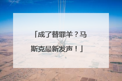 成了替罪羊？马斯克最新发声！