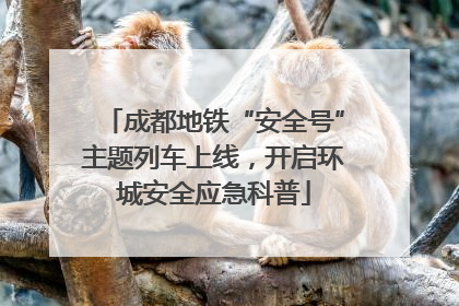 成都地铁“安全号”主题列车上线，开启环城安全应急科普