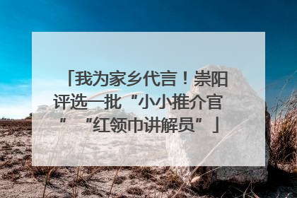 我为家乡代言！崇阳评选一批“小小推介官”“红领巾讲解员”