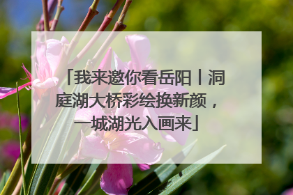 我来邀你看岳阳丨洞庭湖大桥彩绘换新颜，一城湖光入画来