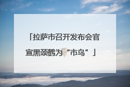 拉萨市召开发布会官宣黑颈鹤为“市鸟”
