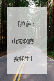 拉萨：山沟欢腾赛牦牛