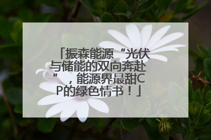 振森能源“光伏与储能的双向奔赴”，能源界最甜CP的绿色情书！