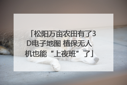 松阳万亩农田有了3D电子地图 植保无人机也能“上夜班”了