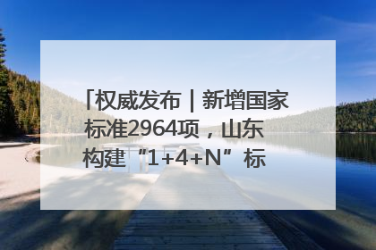 权威发布｜新增国家标准2964项，山东构建“1+4+N”标准化创新发展新格局