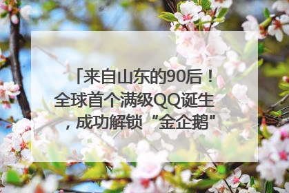 来自山东的90后！全球首个满级QQ诞生，成功解锁“金企鹅”，是继承父亲账号