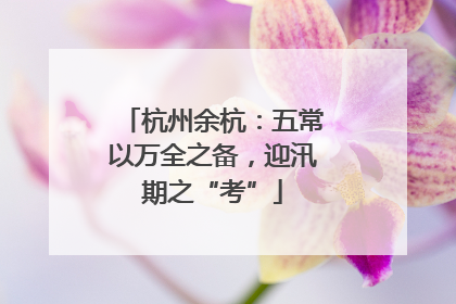 杭州余杭：五常以万全之备，迎汛期之“考”