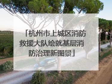 杭州市上城区消防救援大队绘就基层消防治理新图景