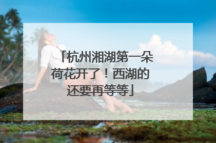 杭州湘湖第一朵荷花开了！西湖的还要再等等