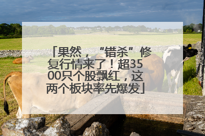 果然，“错杀”修复行情来了！超3500只个股飘红，这两个板块率先爆发