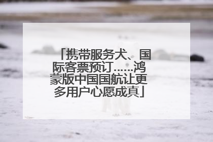 携带服务犬、国际客票预订……鸿蒙版中国国航让更多用户心愿成真