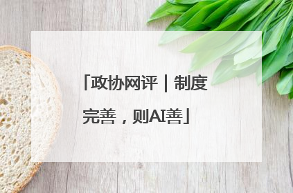 政协网评｜制度完善，则AI善