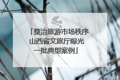 整治旅游市场秩序 山西省文旅厅曝光一批典型案例