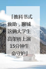 教科书式救助，聊城这俩大学生高架桥上演15分钟生命守护