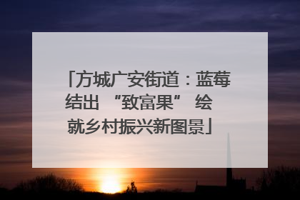 方城广安街道：蓝莓结出 “致富果” 绘就乡村振兴新图景