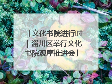 文化书院进行时｜淄川区举行文化书院观摩推进会