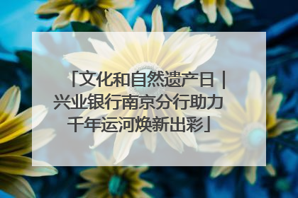 文化和自然遗产日｜兴业银行南京分行助力千年运河焕新出彩