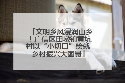 文明乡风浸润山乡！广信区田墩镇黄坑村以“小切口”绘就乡村振兴大图景