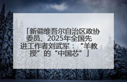 新疆维吾尔自治区政协委员、2025年全国先进工作者刘武军：“羊教授”的“中国芯”