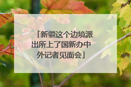 新疆这个边境派出所上了国新办中外记者见面会
