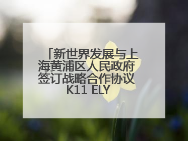 新世界发展与上海黄浦区人民政府签订战略合作协议 K11 ELYSEA璀璨启幕
