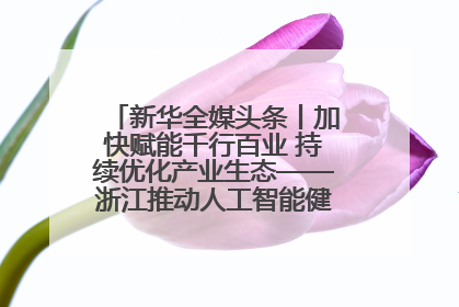 新华全媒头条丨加快赋能千行百业 持续优化产业生态——浙江推动人工智能健康有序发展观察