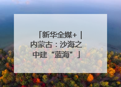新华全媒+｜内蒙古：沙海之中建“蓝海”