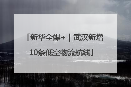新华全媒+｜武汉新增10条低空物流航线