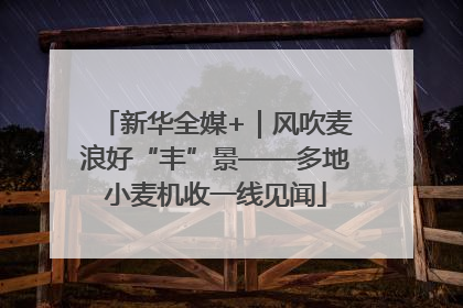 新华全媒+｜风吹麦浪好“丰”景——多地小麦机收一线见闻