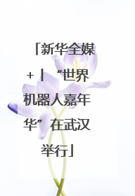 新华全媒+丨“世界机器人嘉年华”在武汉举行