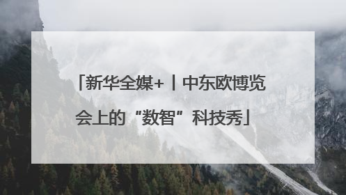 新华全媒+丨中东欧博览会上的“数智”科技秀
