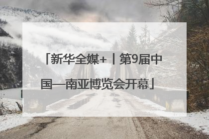 新华全媒+丨第9届中国—南亚博览会开幕