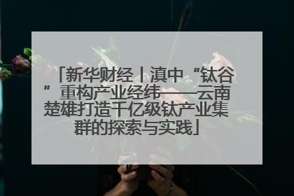 新华财经丨滇中“钛谷”重构产业经纬——云南楚雄打造千亿级钛产业集群的探索与实践