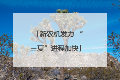 新农机发力 “三夏”进程加快