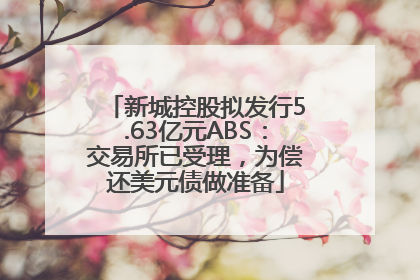 新城控股拟发行5.63亿元ABS：交易所已受理，为偿还美元债做准备