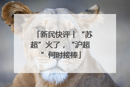 新民快评丨“苏超”火了，“沪超”何时接棒