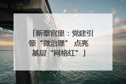 新泰宫里：党建引领“微治理” 点亮基层“网格红”