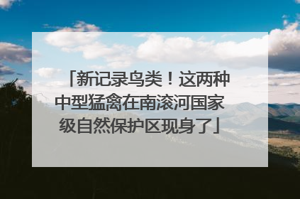 新记录鸟类！这两种中型猛禽在南滚河国家级自然保护区现身了
