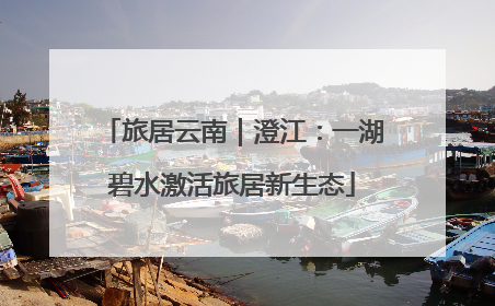 旅居云南｜澄江：一湖碧水激活旅居新生态